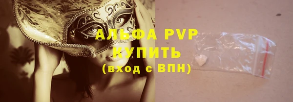 крисы Аркадак