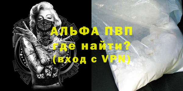 индика Баксан