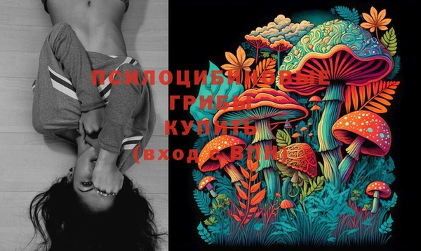 индика Баксан